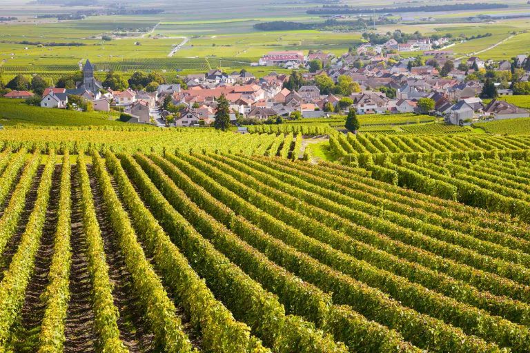 Discover Burgundy: France’s Legendary Wine Region