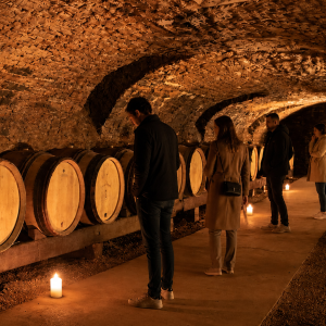 Burgundy Private Wine Tour from Dijon/Beaune to Cote de Beaune Vineyards