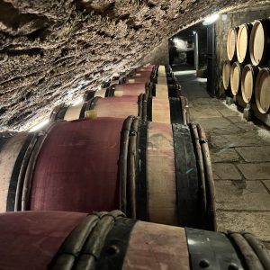 Burgundy Private Wine Tour Dijon/Beaune to Cote de Nuits Vineyards