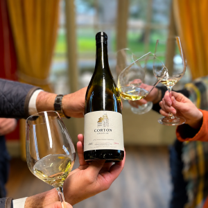 Burgundy Small Group Wine Tour: Grands Crus Route & 14 Tastings