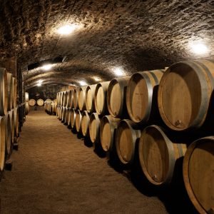 Burgundy Private Wine Tour and Tasting to Top 100 Burgundy Wine Domains
