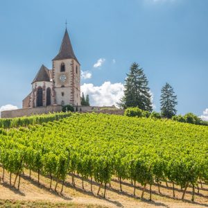 Alsace Private Wine Tour from Strasbourg to Grand Cru Villages