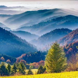 Baden-Baden & Black Forest Private Day Tour from Strasbourg