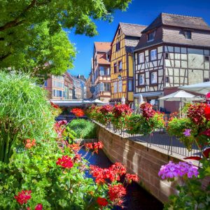 Private Alsace Day Tour from Strasbourg with Colmar & Wine Tasting