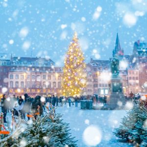 Strasbourg Christmas Markets Private Walking Tour