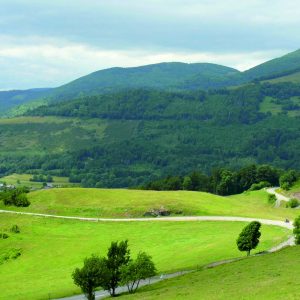 Alsace WWII History Private Tour from Strasbourg
