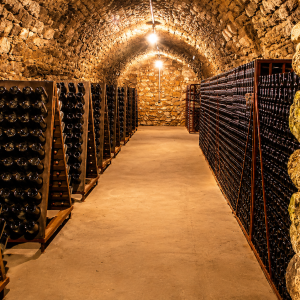 Champagne Small Group Day Trip from Paris with Moët & Chandon & Family Winery