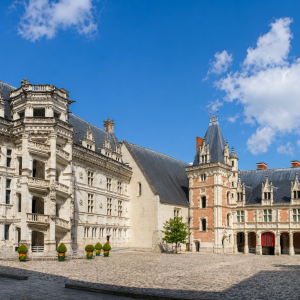 Loire Valley Private Chateaux Day Trip to Blois, Cheverny & Chambord