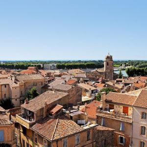 Van Gogh's Provence: Arles & Saint-Rémy Private Experience from Avignon