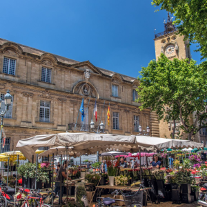 Private Guided Walking Tour of Aix-en-Provence