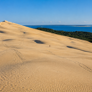 Arcachon Bay & Dune du Pilat on a Small Group Tour from Bordeaux