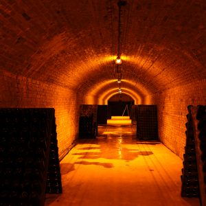 Private Champagne Day Tour to three Family Growers with Lunch Included
