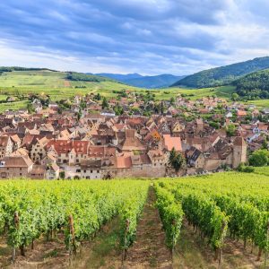 Alsace Grand Cru Private Wine Tour from Riquewihr