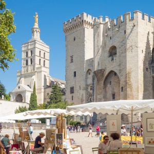 From the Painters to the Popes Private Guided Walking Tour of Avignon