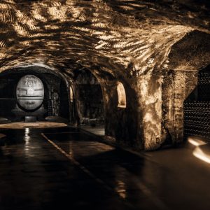 Champagne Private Day Tour with Moet & Chandon and Family Grower
