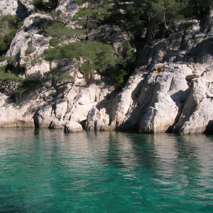 Cassis, Calanques & Provence Wine Small Group Tour from Aix-en-Provence